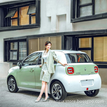 Great wall ora r1 ev chinese electric car adult high speed and high cruising power electric cars made in china